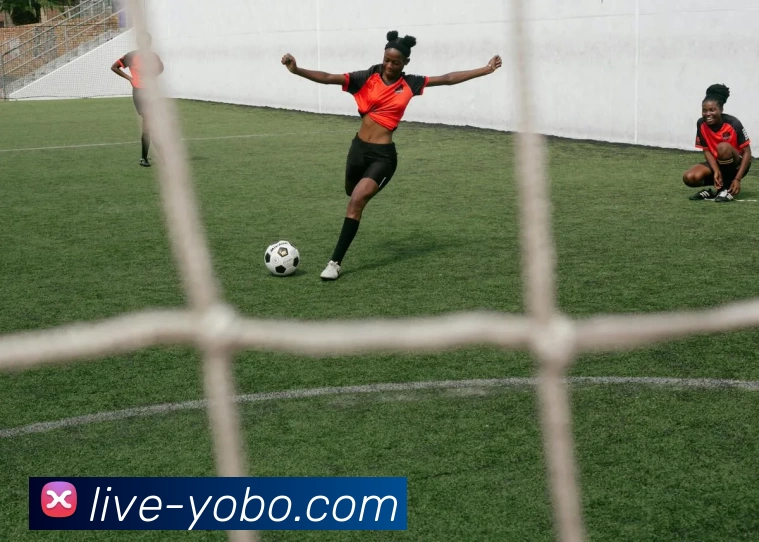 友博体育全站App